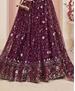 Picture of Elegant Wine Lehenga Choli