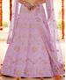 Picture of Admirable Pink Lehenga Choli