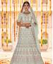 Picture of Nice Pista Lehenga Choli