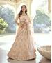 Picture of Ravishing Peach Lehenga Choli