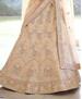 Picture of Ravishing Peach Lehenga Choli