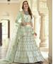 Picture of Sightly Green Lehenga Choli