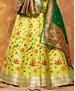 Picture of Appealing Yellow Green Lehenga Choli