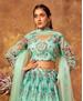 Picture of Taking Sea Green Lehenga Choli