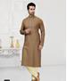 Picture of Fascinating Light Brown Kurtas