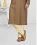 Picture of Fascinating Light Brown Kurtas