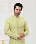 Picture of Fascinating Light Pista Kurtas