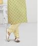 Picture of Fascinating Light Pista Kurtas