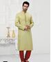 Picture of Ravishing Light Pista Kurtas