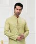 Picture of Ravishing Light Pista Kurtas