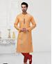 Picture of Exquisite Peach Kurtas