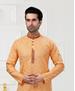 Picture of Exquisite Peach Kurtas