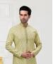 Picture of Charming Light Pista Kurtas