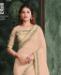 Picture of Lovely Peach Designer Saree