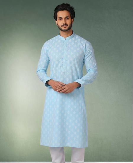 Picture of Delightful Sky Blue Kurtas