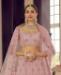 Picture of Statuesque Peach Lehenga Choli