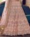 Picture of Sublime Peach Lehenga Choli