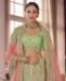 Picture of Statuesque Pista Lehenga Choli