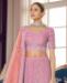 Picture of Magnificent Pink Lehenga Choli