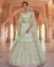 Picture of Lovely Pista Lehenga Choli