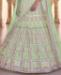 Picture of Lovely Pista Lehenga Choli