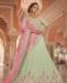 Picture of Classy Pista Lehenga Choli