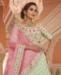 Picture of Classy Pista Lehenga Choli