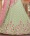 Picture of Classy Pista Lehenga Choli