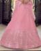 Picture of Taking Pink Lehenga Choli