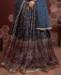 Picture of Charming Blue Lehenga Choli