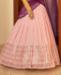 Picture of Shapely Pink Lehenga Choli