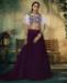 Picture of Magnificent Wine Lehenga Choli