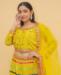 Picture of Resplendent Masturd Readymade Lehenga Choli