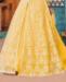 Picture of Good Looking Yellow Anarkali Salwar Kameez