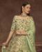 Picture of Marvelous Mint Green Lehenga Choli