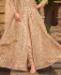 Picture of Magnificent Beige Designer Salwar Kameez