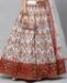 Picture of Comely Red Lehenga Choli