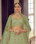 Picture of Ideal Pista Lehenga Choli