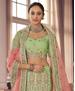 Picture of Statuesque Pista Lehenga Choli