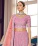 Picture of Magnificent Pink Lehenga Choli