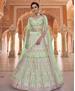 Picture of Lovely Pista Lehenga Choli