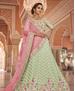 Picture of Classy Pista Lehenga Choli