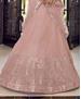 Picture of Beauteous Peach Lehenga Choli