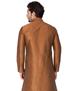 Picture of Delightful Brown Kurtas