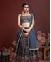 Picture of Charming Blue Lehenga Choli