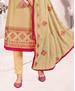 Picture of Appealing Beige Straight Cut Salwar Kameez