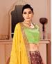 Picture of Lovely Brown Lehenga Choli