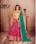 Picture of Sightly Pink Lehenga Choli