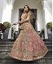 Picture of Lovely Olive Lehenga Choli