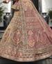 Picture of Lovely Olive Lehenga Choli